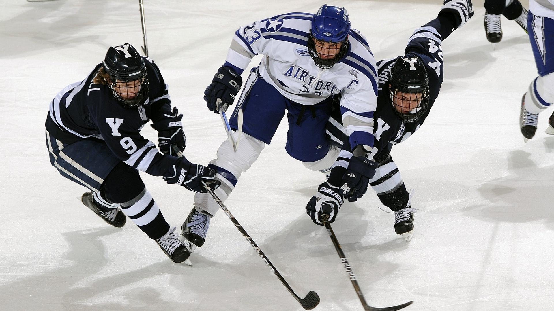 裁判交流平台上线促进地区规则统一，裁判流程信息网